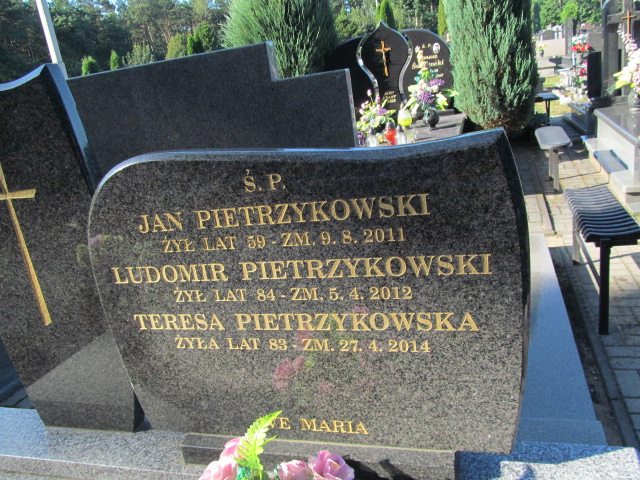 Ludomir Pietrzykowski Łask Kolumna - Grobonet - Wyszukiwarka osób pochowanych