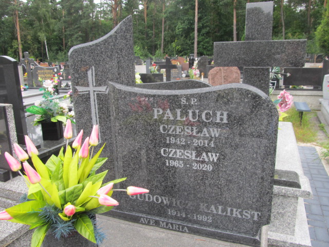 Czesław Paluch 1965 Łask Kolumna - Grobonet - Wyszukiwarka osób pochowanych